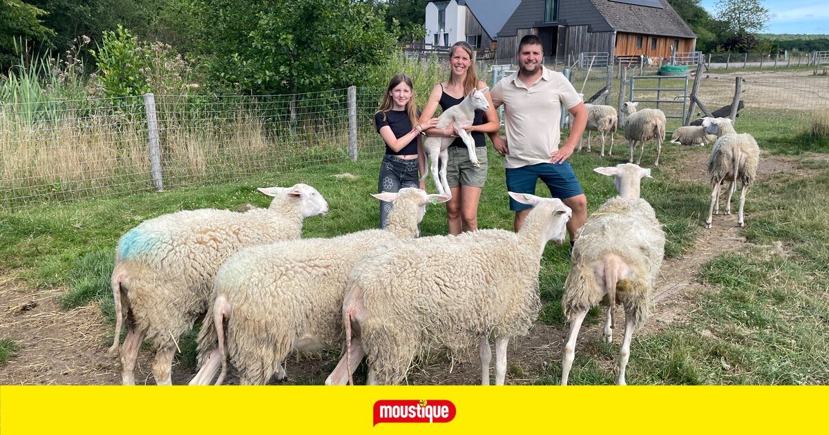 La relève des agriculteurs en Wallonie compromise par des obstacles économiques, l’épuisement et des résistances culturelles
