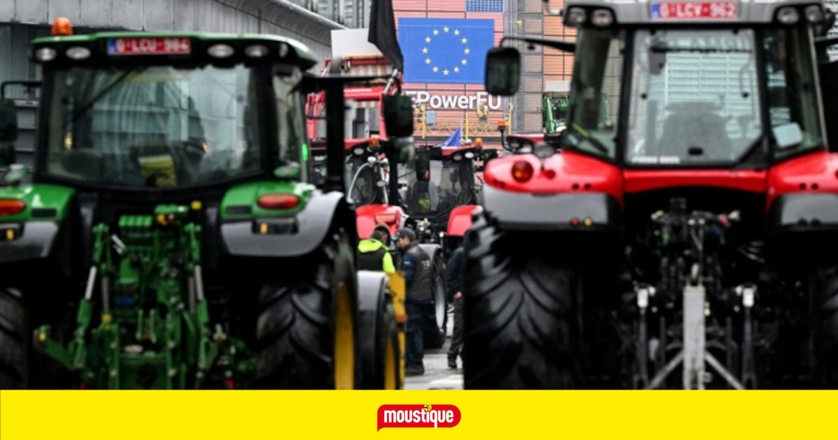 Mercosur en discussions: comment l’EU va-t’elle convaincre la France?