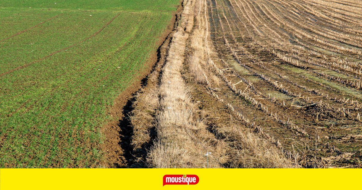 Vérifiez si le sol près de votre habitation est pollué dans cette banque de données de la Wallonie