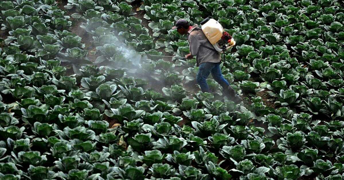 La Belgique est un des plus gros exportateurs de pesticides interdits: voici 4 raisons qui prouvent que cela doit cesser