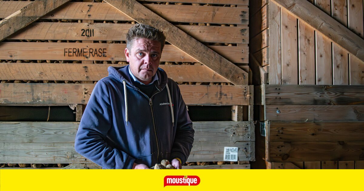 Pourquoi le prix de ventes des pommes de terre a été divisé par dix pour les agriculteurs? Les obligeant à travailler à perte..
