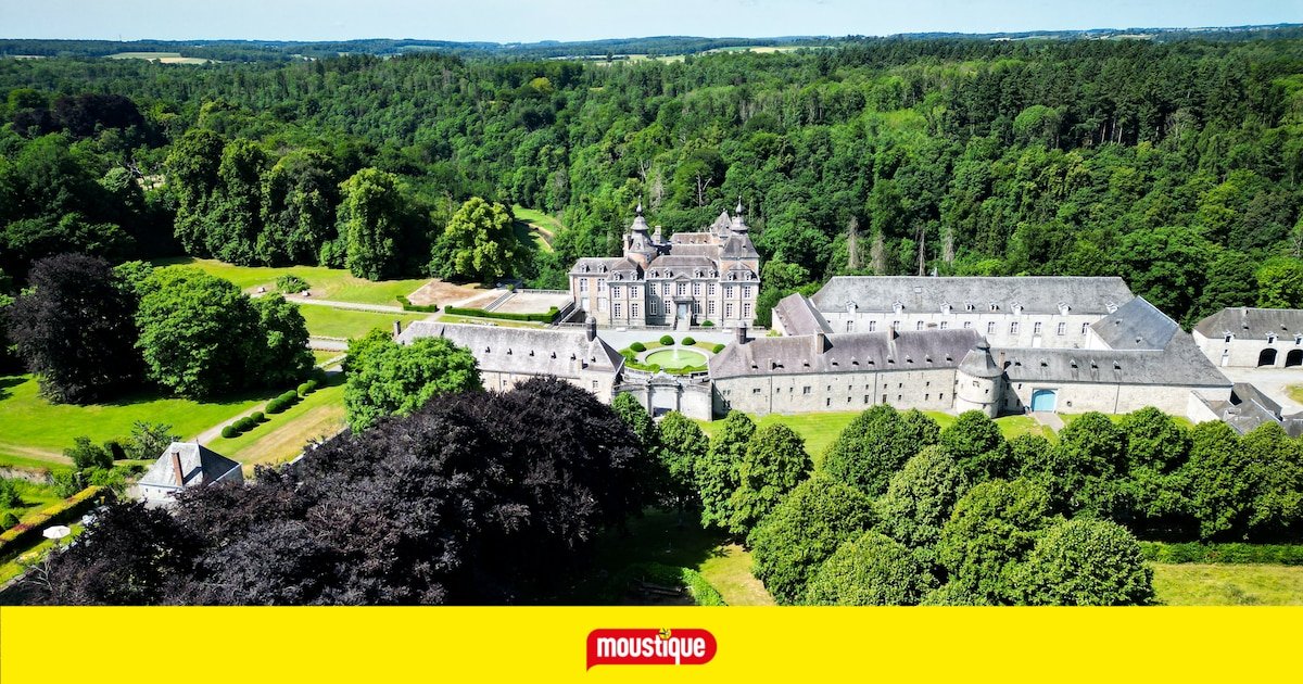 Un château et un vignoble à deux pas de chez vous