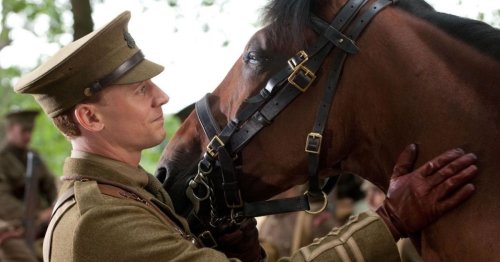The Best All-Time Movies about Horses, Ranked