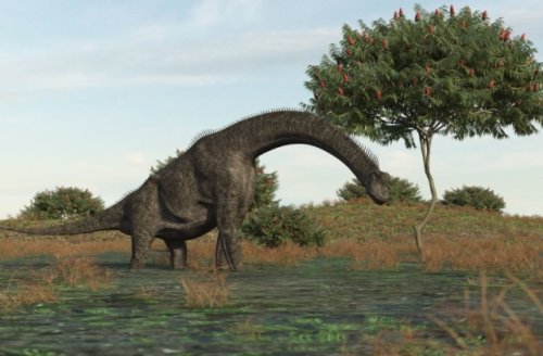 Корова-ящер: найден один из самых маленьких титанозавров в истории