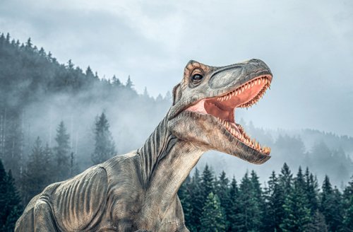 Последняя надежда вида: открыт уникальный динозавр «переходного» периода