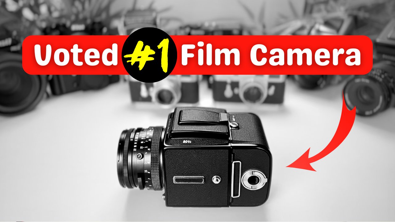 Top 10 Film Cameras (Voted by YOU!)