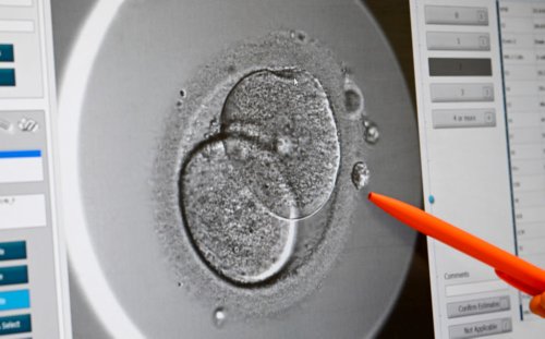 The Alabama IVF Ruling Weaponizes Faith to Harm Families
