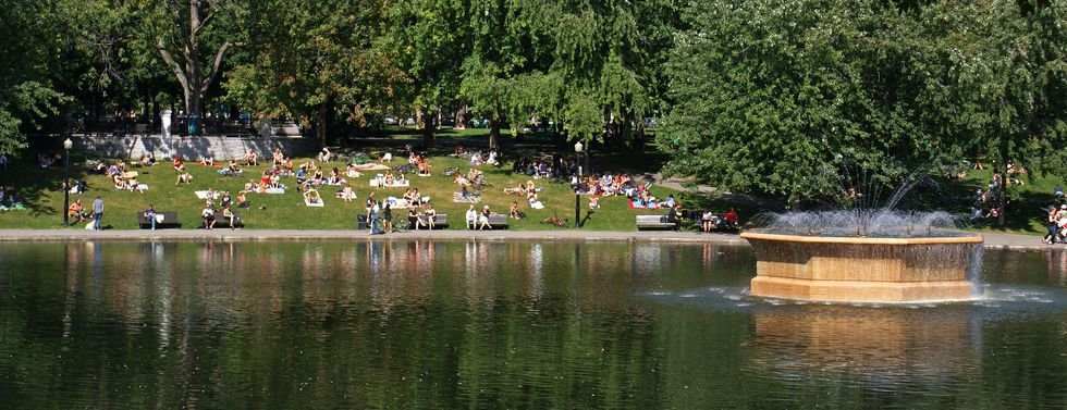 How Not To Be A D*ck In A Montreal Park: 7 Tips For Public Partying & Picnic Politeness