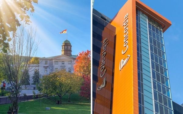6 Quebec Universities Were Ranked Among The Best Schools In The World