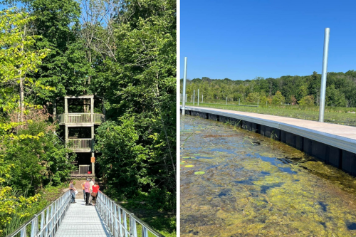 This New Wetlands Trail Just Outside Montreal Is High-key Gorgeous