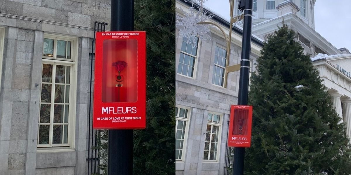 MFLEURS Hid 500 Free Roses Around The City For You To Find & Declare Your Love (VIDEO)
