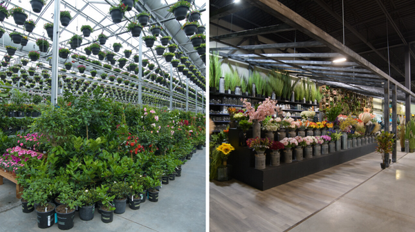 A Massive Plant Warehouse Just Opened Near Montreal & It's A Floral Paradise