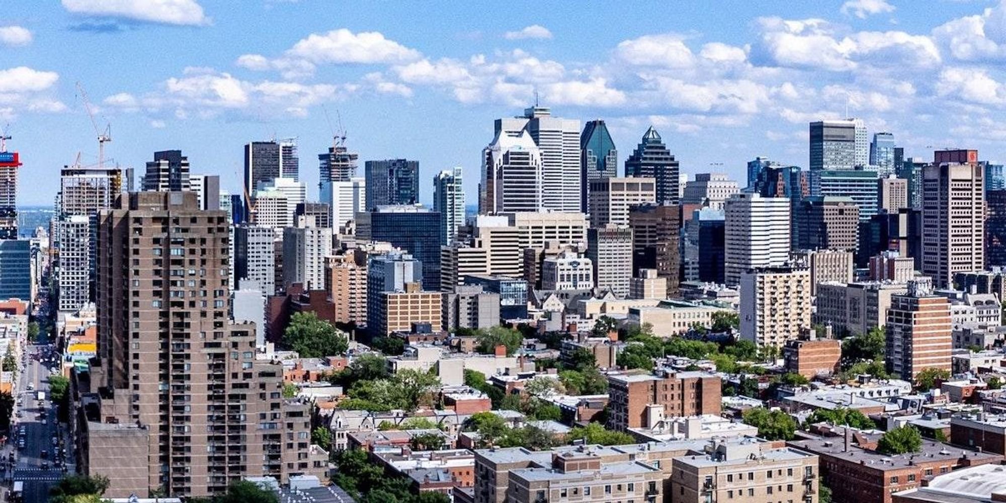 Quebec Anglophones Make More Money On Average Than Francophones, An OQLF Study Suggests