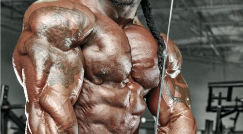 5 Rules for Building Bigger Triceps - Muscle & Fitness
