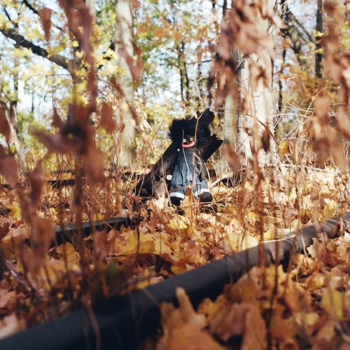 billy woods - GOLLIWOG | Album Reviews | musicOMH