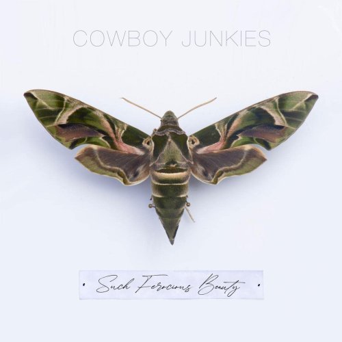 Review: Cowboy Junkies - SUCH FEROCIOUS BEAUTY - Musikexpress