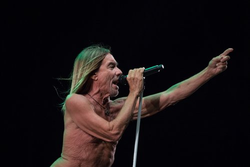 Iggy Pop: Das letzte Biest am Himmel