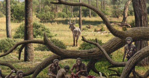 De los primitivos homininos a los humanos: la fascinante historia de nuestro linaje