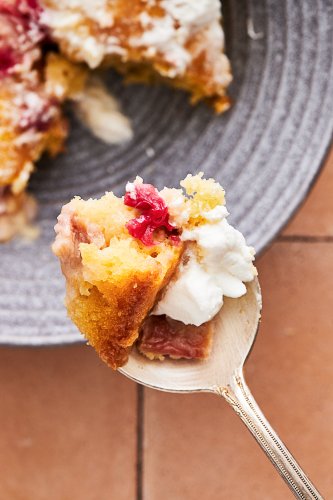 Aunt Trude’s Rhubarb Cake