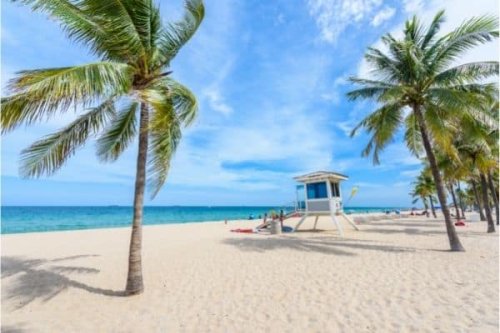 6 Top Fort Lauderdale Activities Not to Miss