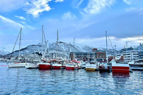 Tromsø im Winter: 15 Sehenswürdigkeiten und Geheimtipps