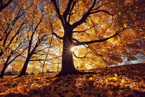 Bekommen wir einen goldenen Oktober? Wetter-Experte klärt auf