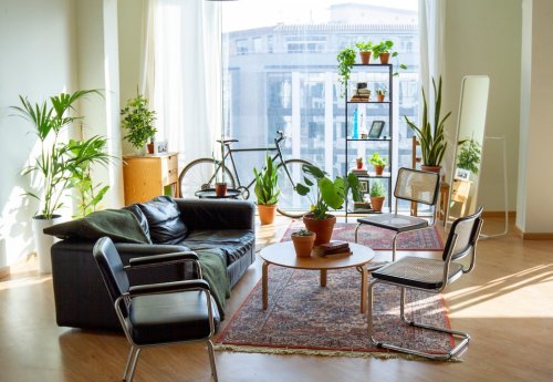Living cover image
