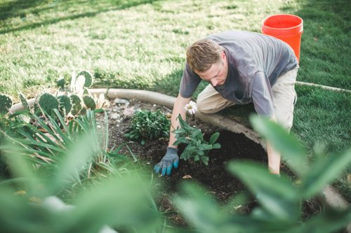 Gartenarbeiten, die man von der Steuer absetzen kann