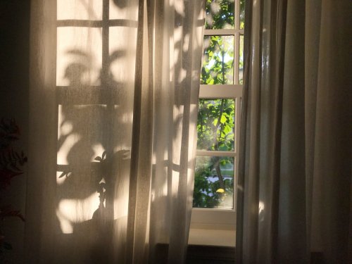 7 Möglichkeiten für Sichtschutz am Fenster