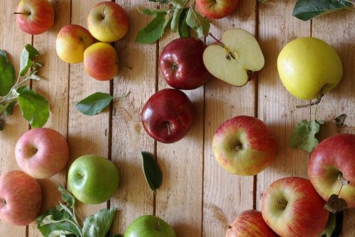 6 außergewöhnliche Apfelsorten, die für Abwechslung im Garten sorgen