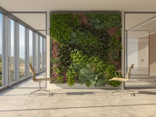 Vertical Gardening – Ideen und Tipps für den Indoor-Bereich