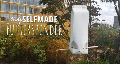 DIY-Vogelfutterspender aus einem leeren Milchkarton