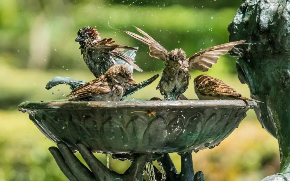 Alles Über Haus Garten Einrichtung Tipps u Diy - cover