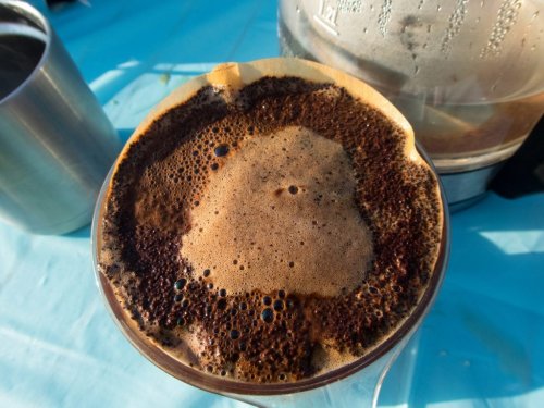 Kaffeesatz als Hausmittel im Garten verwenden? 3 häufige Fehler