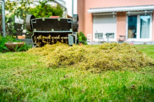 Sollte man im Herbst noch mal vertikutieren? Rasen-Profi klärt auf