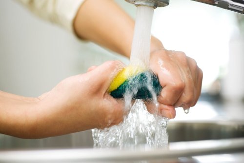 Milliarden Bakterien im Spülschwamm – ist eine Küchenbürste hygienischer?