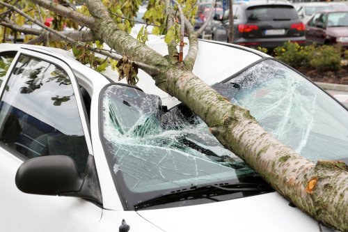 Wer haftet, wenn ein Ast aufs Auto kracht?