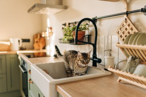 Woran Gäste erkennen, ob Ihre Wohnung wirklich sauber ist