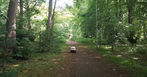 Man Spots Delivery Robot “Lost in the Woods“ and People Are Sharing Hilariously Imaginative Reactions