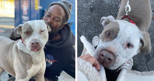 Homeless Man Rushes Into Burning Animal Shelter To Save Every Animal