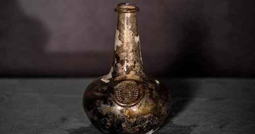 Unopened Bottles of Wine Discovered on a Royal Ship 340 Years After It Sank