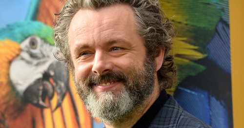Michael Sheen Is a "Not-for-Profit" Actor Who Donates His Earnings to Social Causes
