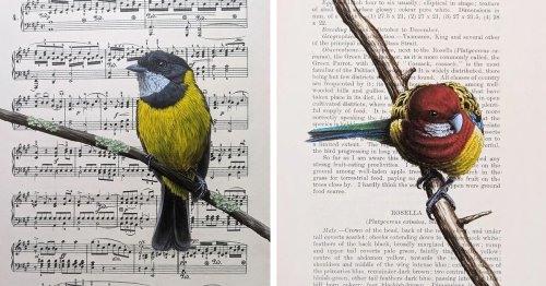 Artist Adds Exquisite Bird Paintings To Vintage Book Pages That Describe Them
