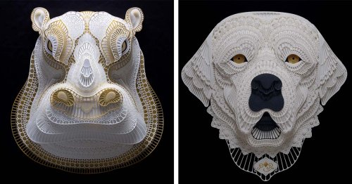 Lace-Patterned Paper Cutouts Capture the Likeness of Creatures Big and Small