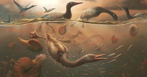 Exceptional Fossil Discovery May Offer Evidence of the Oldest Known Modern Bird