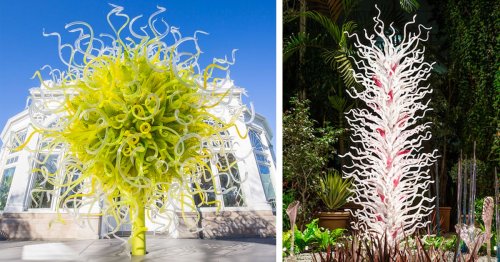 Chihuly's Colorful Glass Sculptures Sprout Up in the New York Botanical Garden