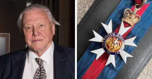 Sir David Attenborough Has So Many Honors That There Are More Letters After His Name Than in It