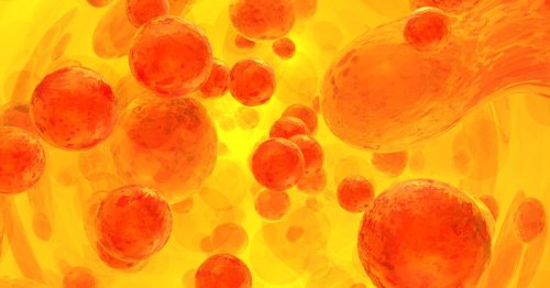 Israeli Hospital Develops Blood Cancer Treatment With a 90% Success Rate