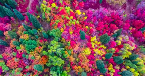 Breathtaking Drone Footage Captures the Vibrant Colors of Utah in Fall