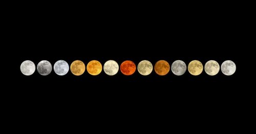 All 13 Full Moons From 2023 Together in One Brilliant Photo